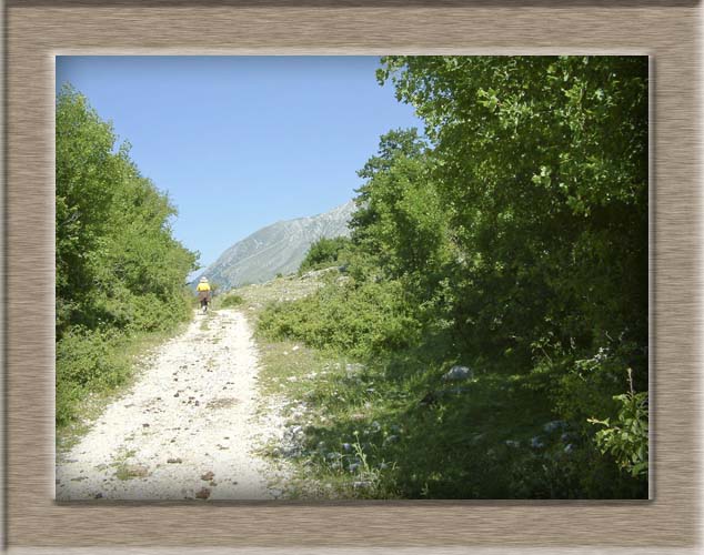 Parco Nazionale d'Abruzzo: dal Lago di Barrea alla Camosciara