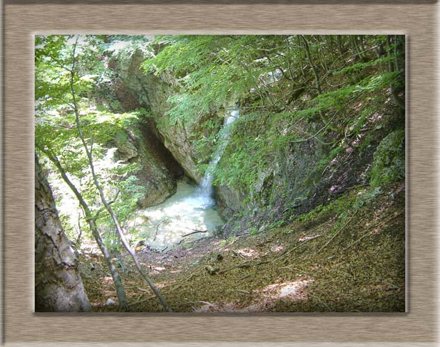 Parco Nazionale d'Abruzzo: dal Lago di Barrea alla Camosciara