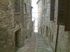 Urbino