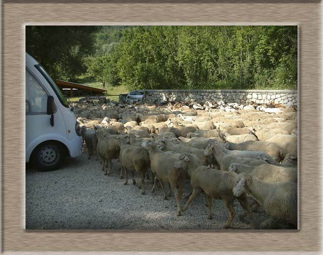 Parco Nazionale d'Abruzzo