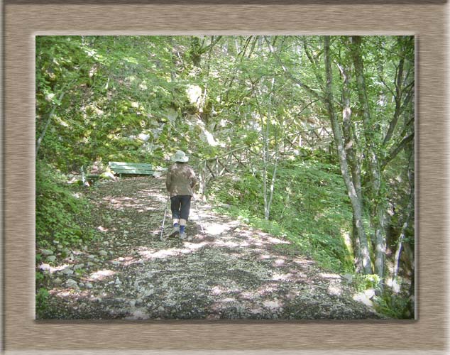 Parco Nazionale d'Abruzzo: dal Lago di Barrea alla Camosciara