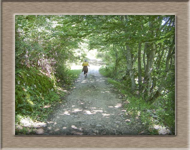 Parco Nazionale d'Abruzzo: dal Lago di Barrea alla Camosciara