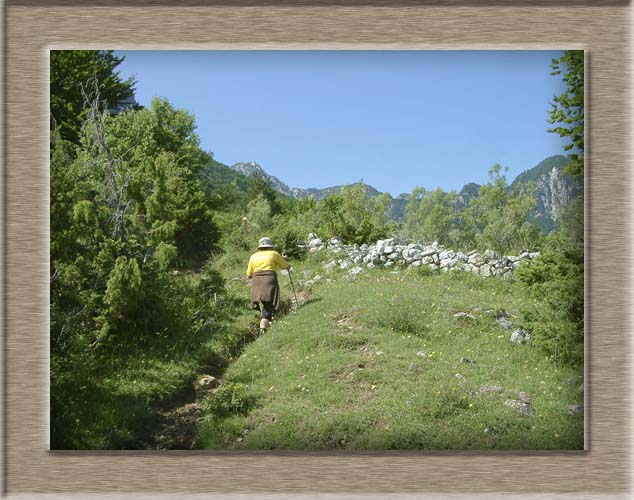 Parco Nazionale d'Abruzzo: dal Lago di Barrea alla Camosciara