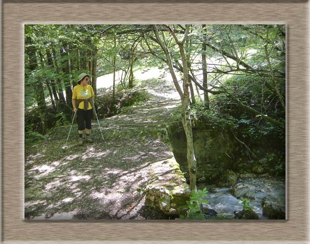 Parco Nazionale d'Abruzzo: dal Lago di Barrea alla Camosciara