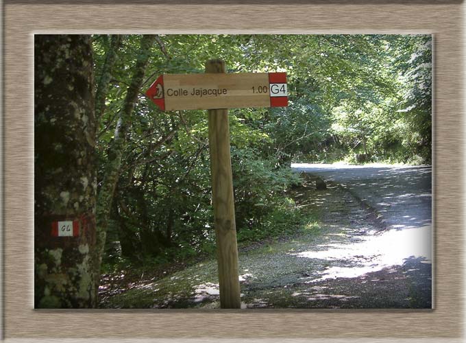 Parco Nazionale d'Abruzzo: dal Lago di Barrea alla Camosciara