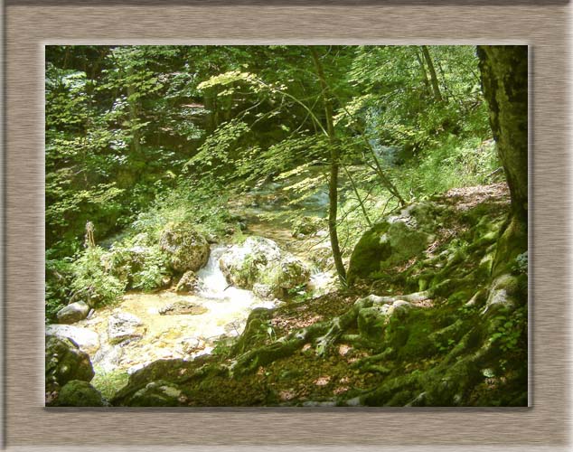 Parco Nazionale d'Abruzzo: dal Lago di Barrea alla Camosciara