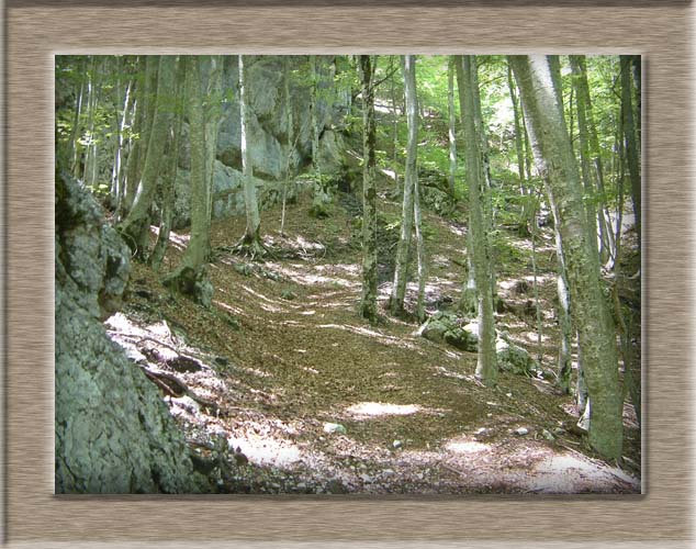 Parco Nazionale d'Abruzzo: dal Lago di Barrea alla Camosciara