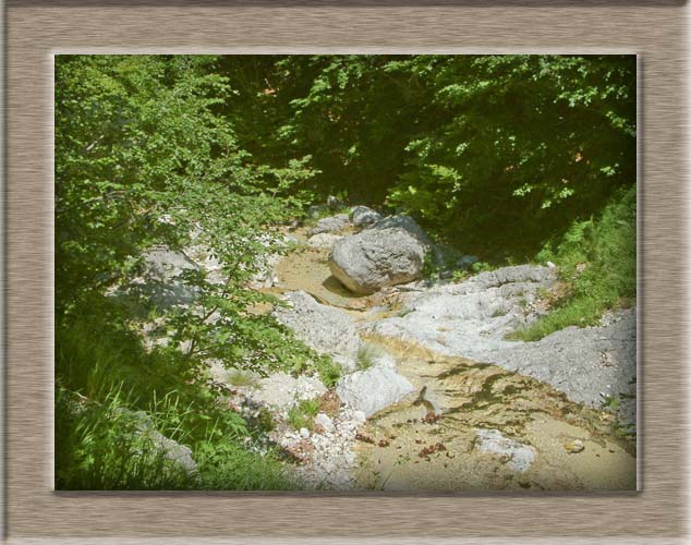 Parco Nazionale d'Abruzzo: dal Lago di Barrea alla Camosciara