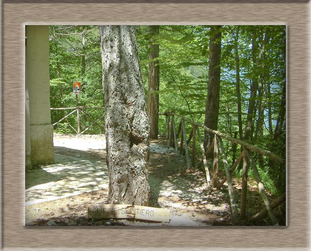 Parco Nazionale d'Abruzzo: dal Lago di Barrea alla Camosciara