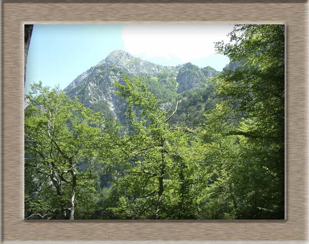 Parco Nazionale d'Abruzzo: dal Lago di Barrea alla Camosciara