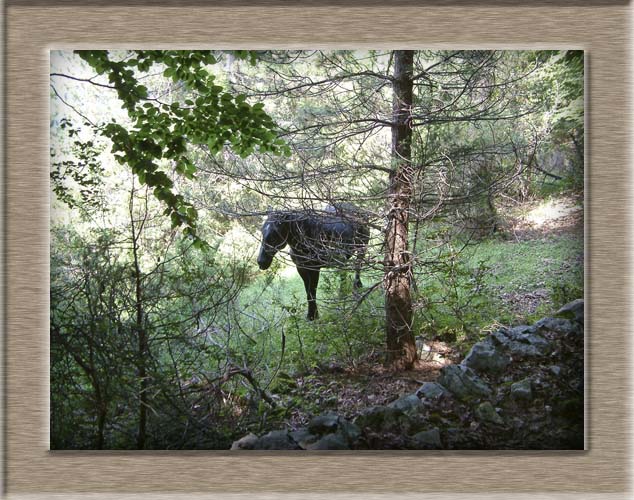 Parco Nazionale d'Abruzzo: dal Lago di Barrea alla Camosciara