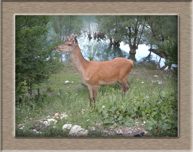 Parco Nazionale d'Abruzzo