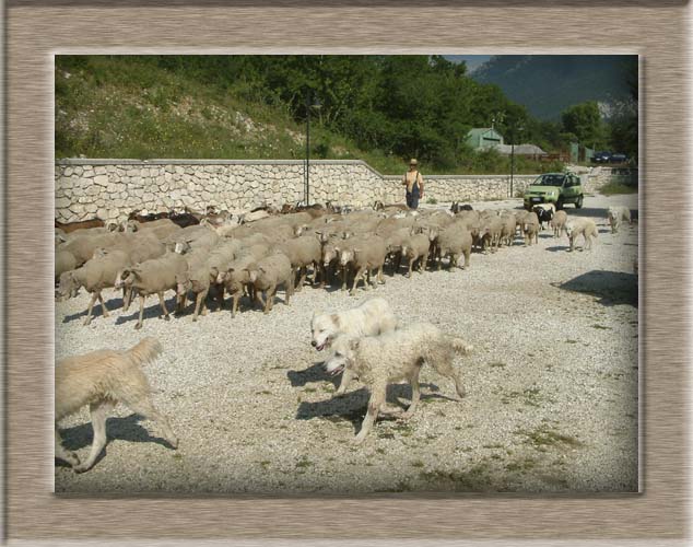 Trekking lago Barrea