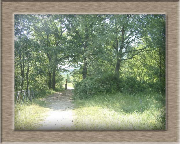 Trekking lago Barrea