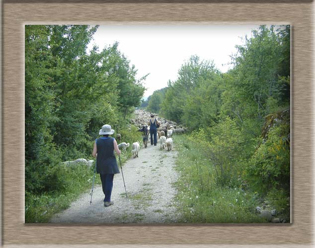 Trekking lago Barrea