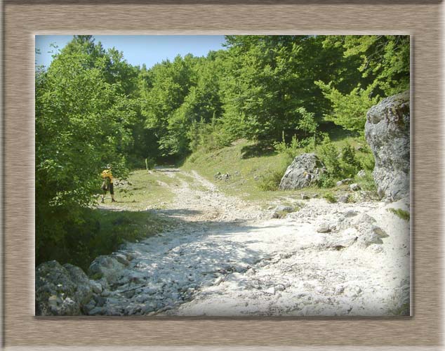 Parco Nazionale d'Abruzzo: Val Fondillo