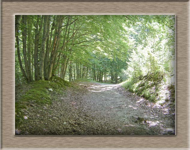 Parco Nazionale d'Abruzzo: Val Fondillo