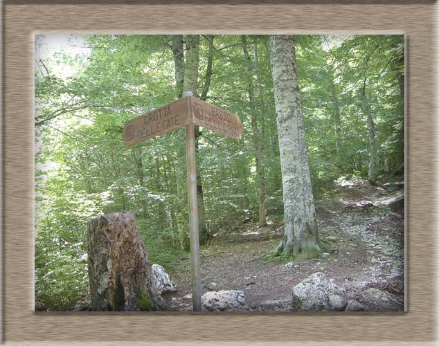 Parco Nazionale d'Abruzzo: Val Fondillo