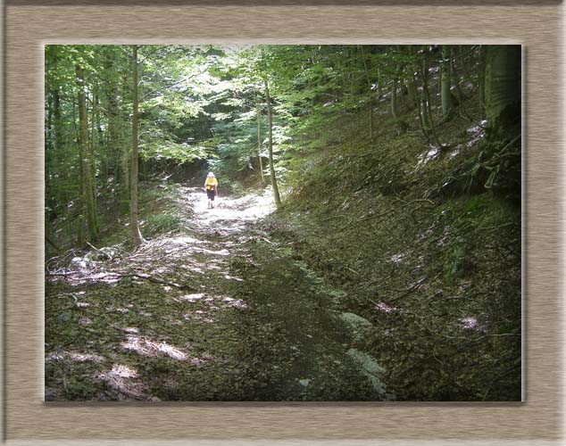 Parco Nazionale d'Abruzzo: Val Fondillo