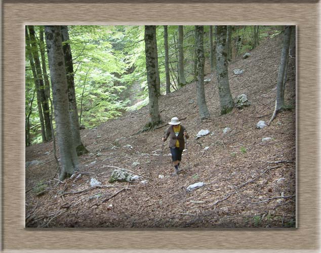 Parco Nazionale d'Abruzzo: Val Fondillo