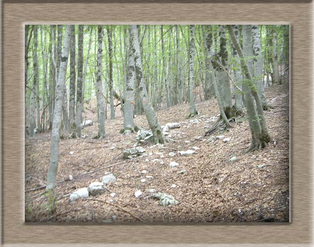 Parco Nazionale d'Abruzzo: Val Fondillo