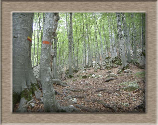 Parco Nazionale d'Abruzzo: Val Fondillo