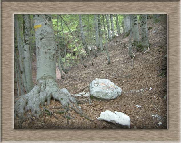 Parco Nazionale d'Abruzzo: Val Fondillo