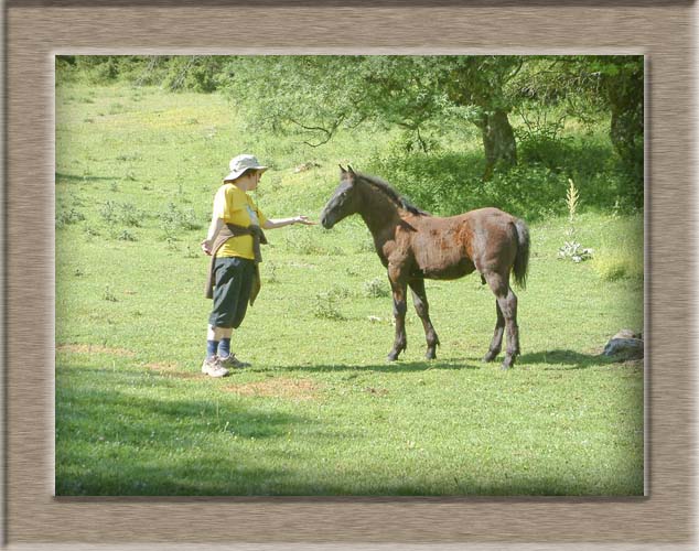 Parco Nazionale d'Abruzzo