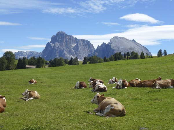 Alpe di Siusi