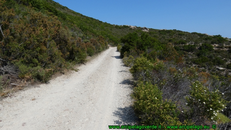 Desert des Agriates in mountain bike