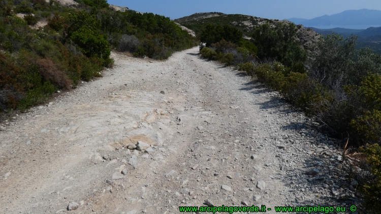 Desert des Agriates in mountain bike