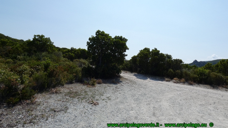 Desert des Agriates in mountain bike