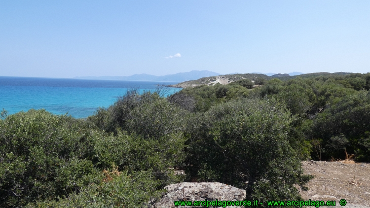 Desert des Agriates in mountain bike