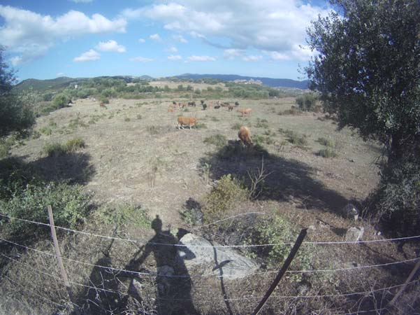 Desert des Agriates in mountain bike