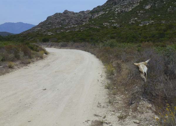 Desert des Agriates in mountain bike