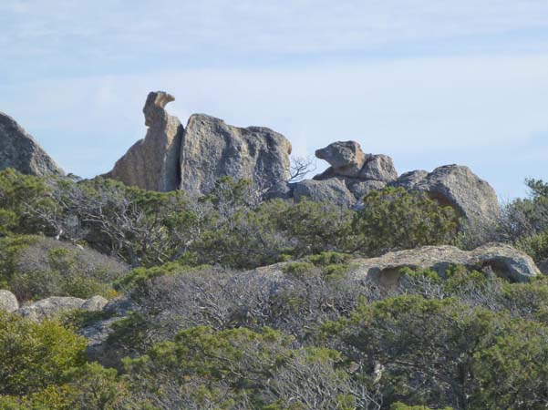 Trekking Tizzano