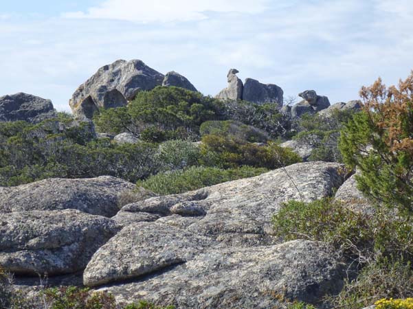 Trekking Tizzano