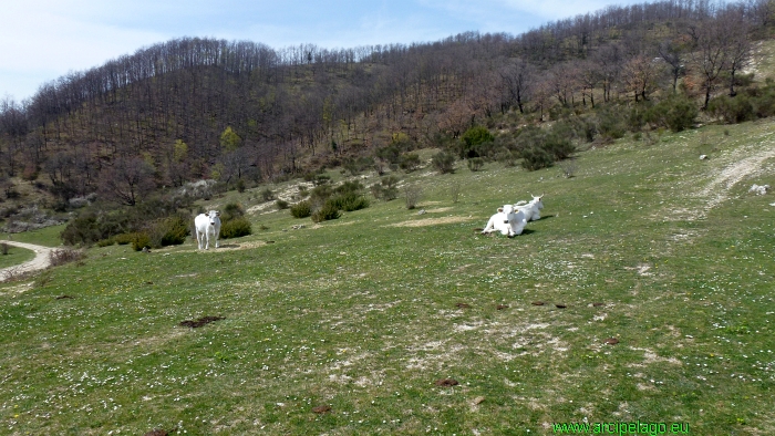 Lago del Turano