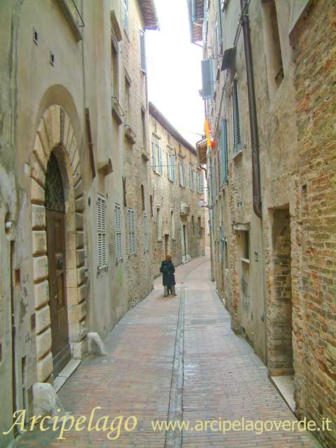 Urbino