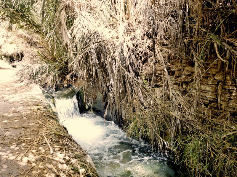 Source Bleu