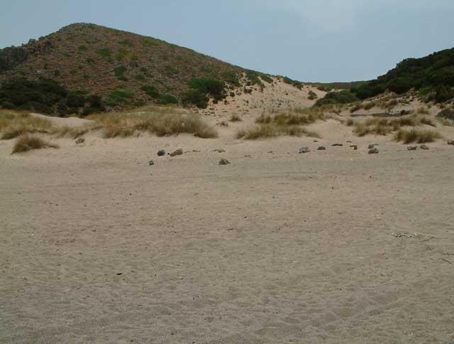 Cala Domestica 2006