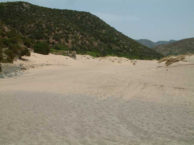 Cala Domestica 2006