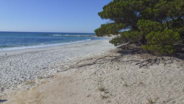 Spiaggia Berchida