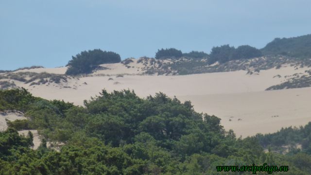 Piscinas