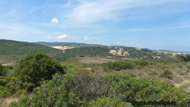 Piscinas