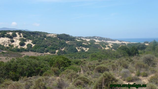 Piscinas