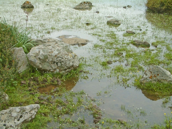 Parco della Giara
