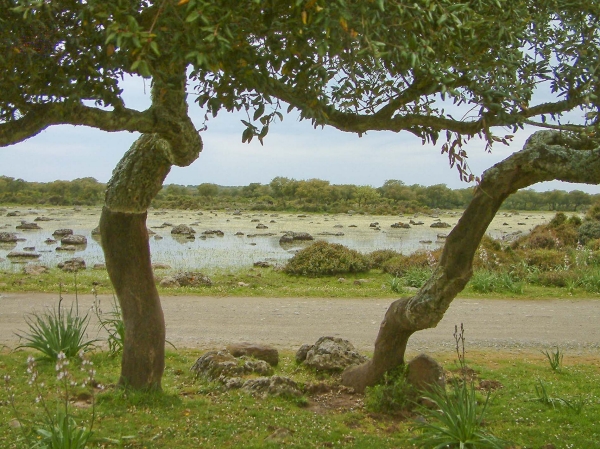 Parco della Giara