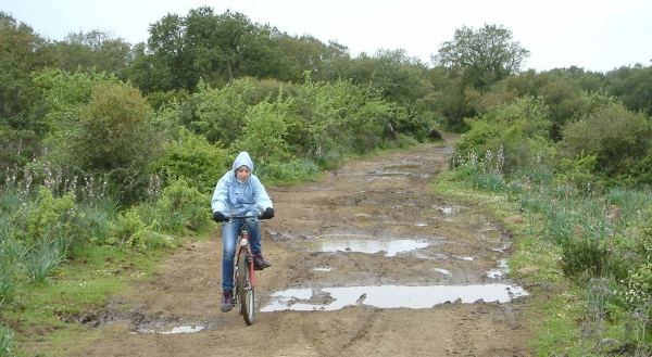 Parco della Giara