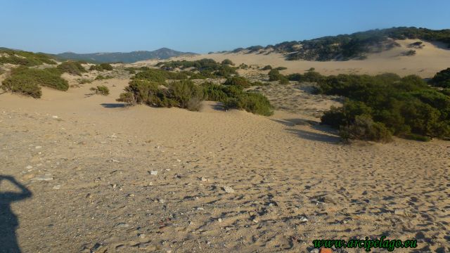 Piscinas